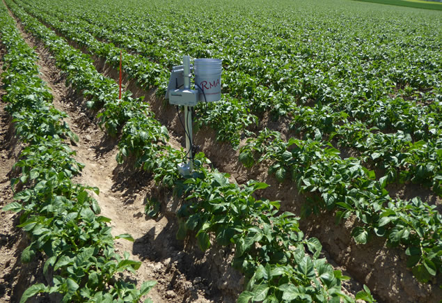 Bemestingsmanagement