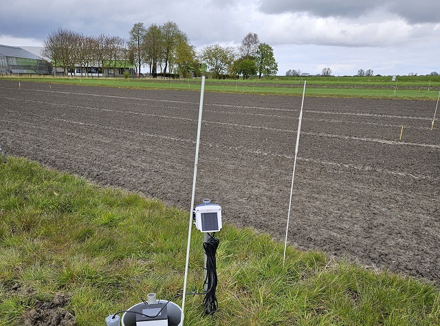 Metingen proefveld verzilting