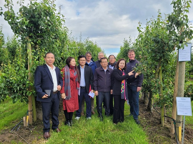 Bezoek Vietnamese delegatie